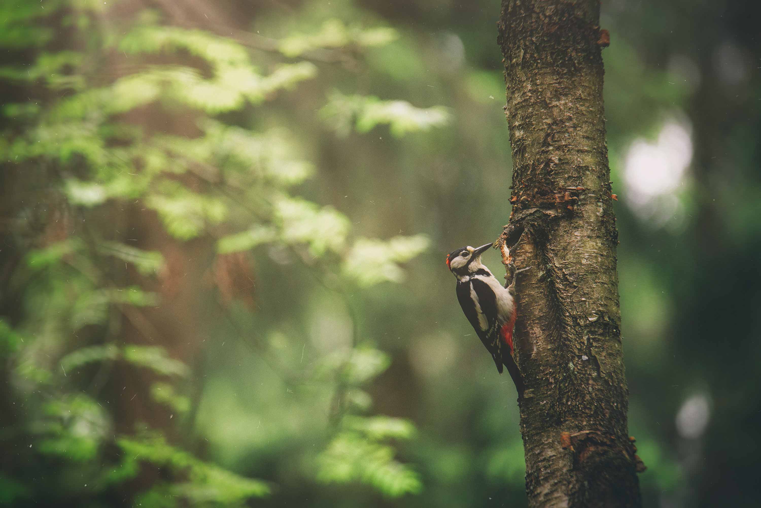 А101 Всеволожск — продажа новостроек в городе Всеволожске от ...