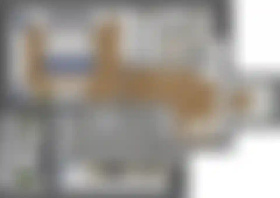 Изображение карточки лота