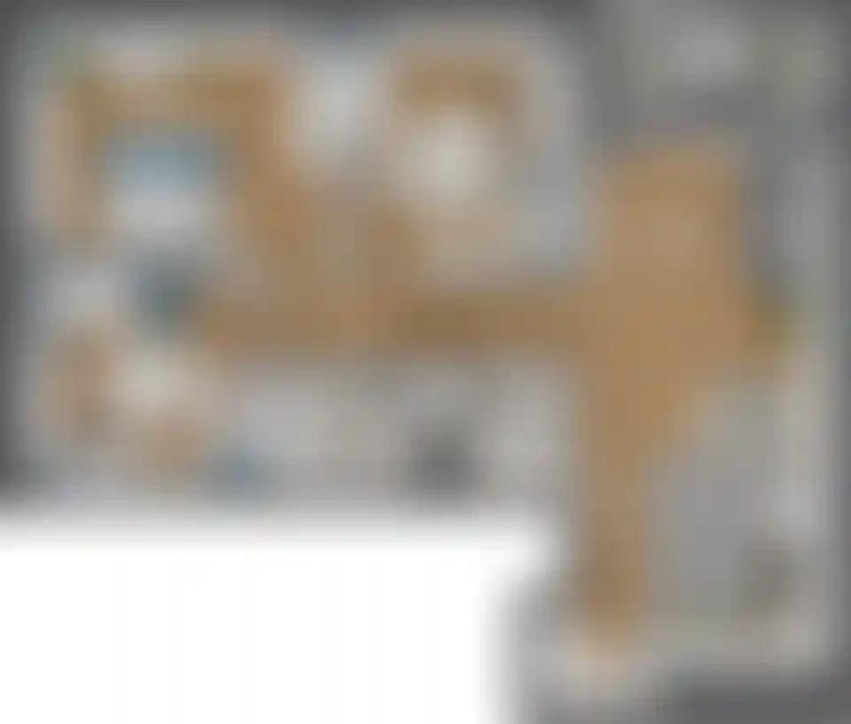 Изображение карточки лота