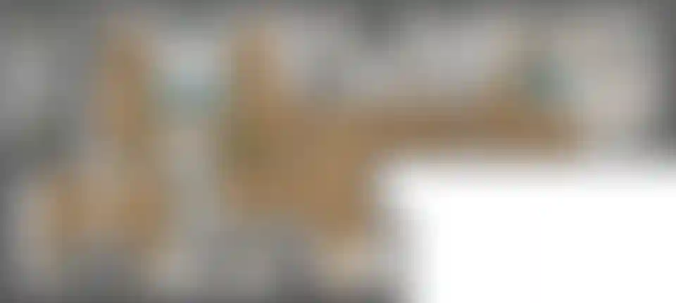 Изображение карточки лота