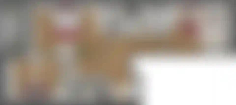 Изображение карточки лота