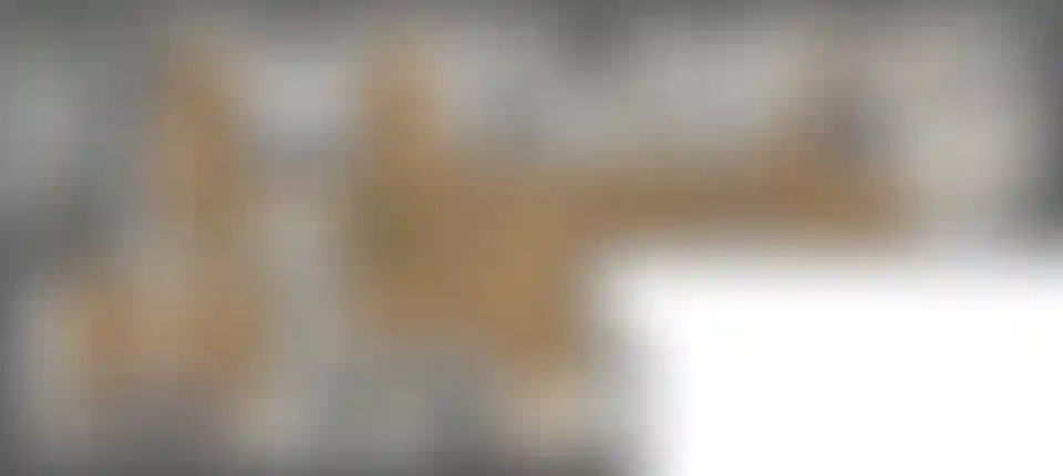 Изображение карточки лота