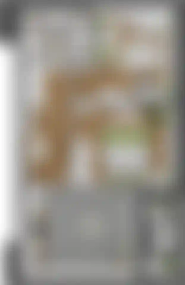 Изображение карточки лота