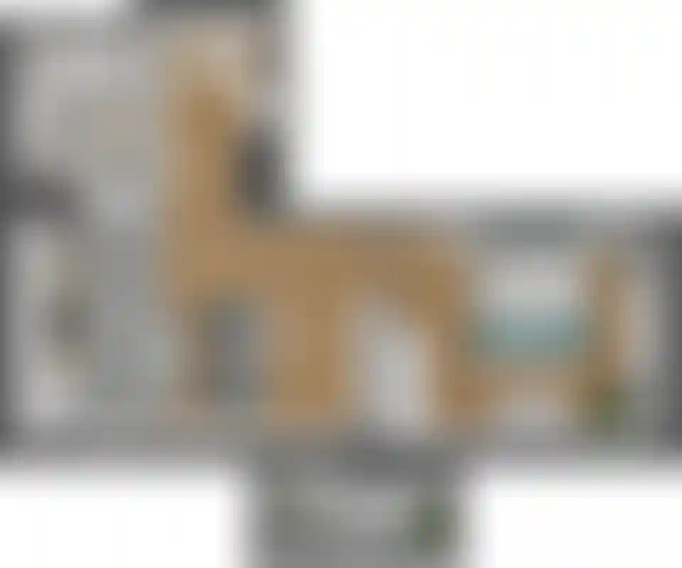 Изображение карточки лота