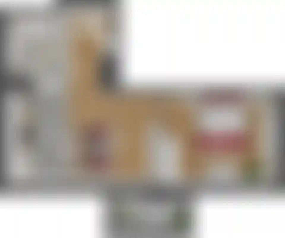 Изображение карточки лота