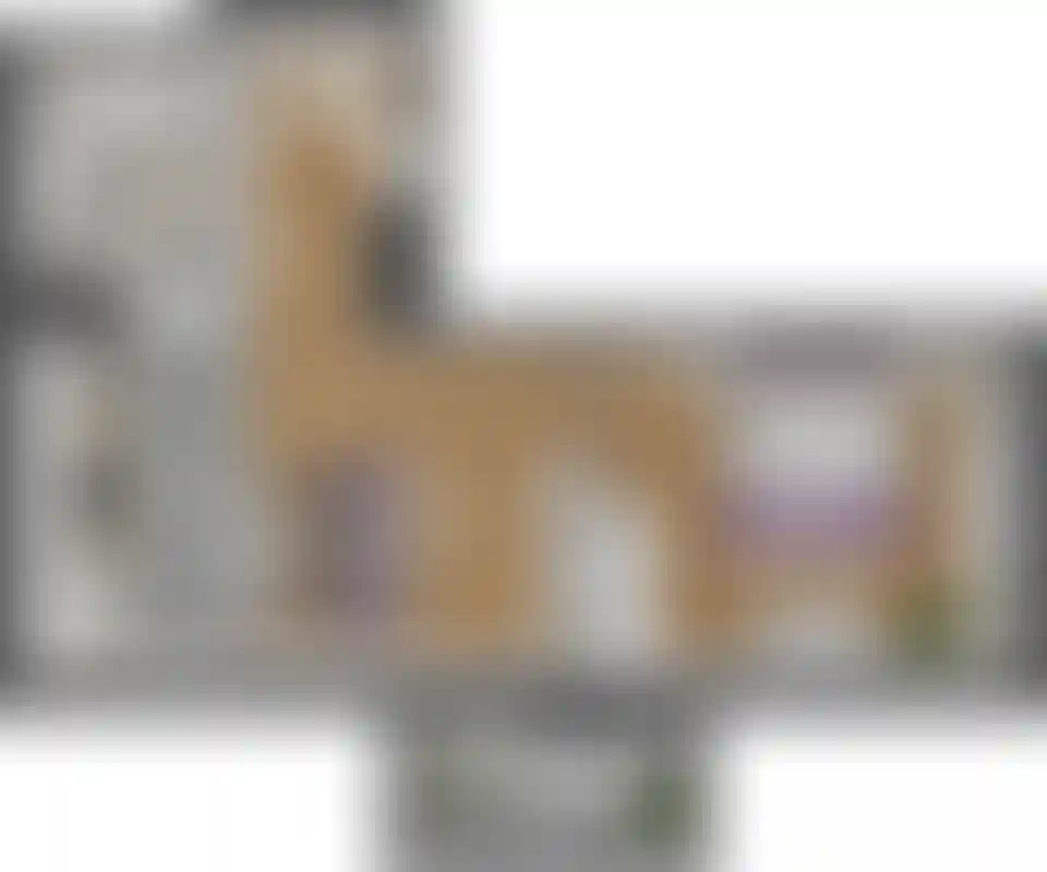 Изображение карточки лота