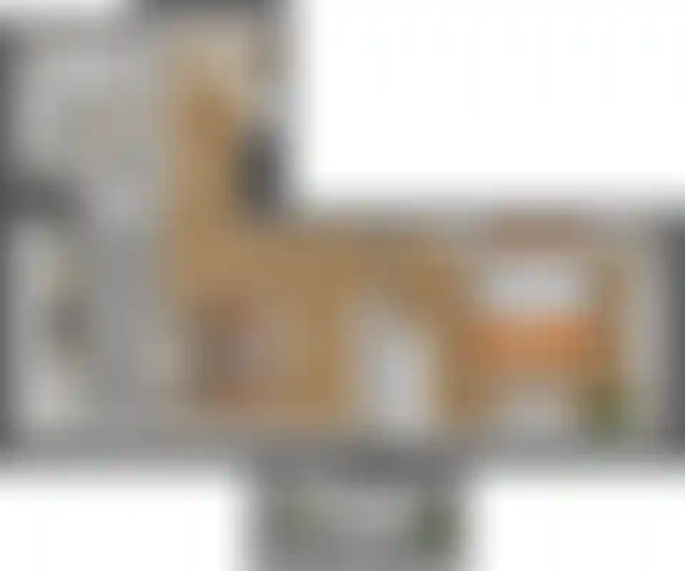 Изображение карточки лота