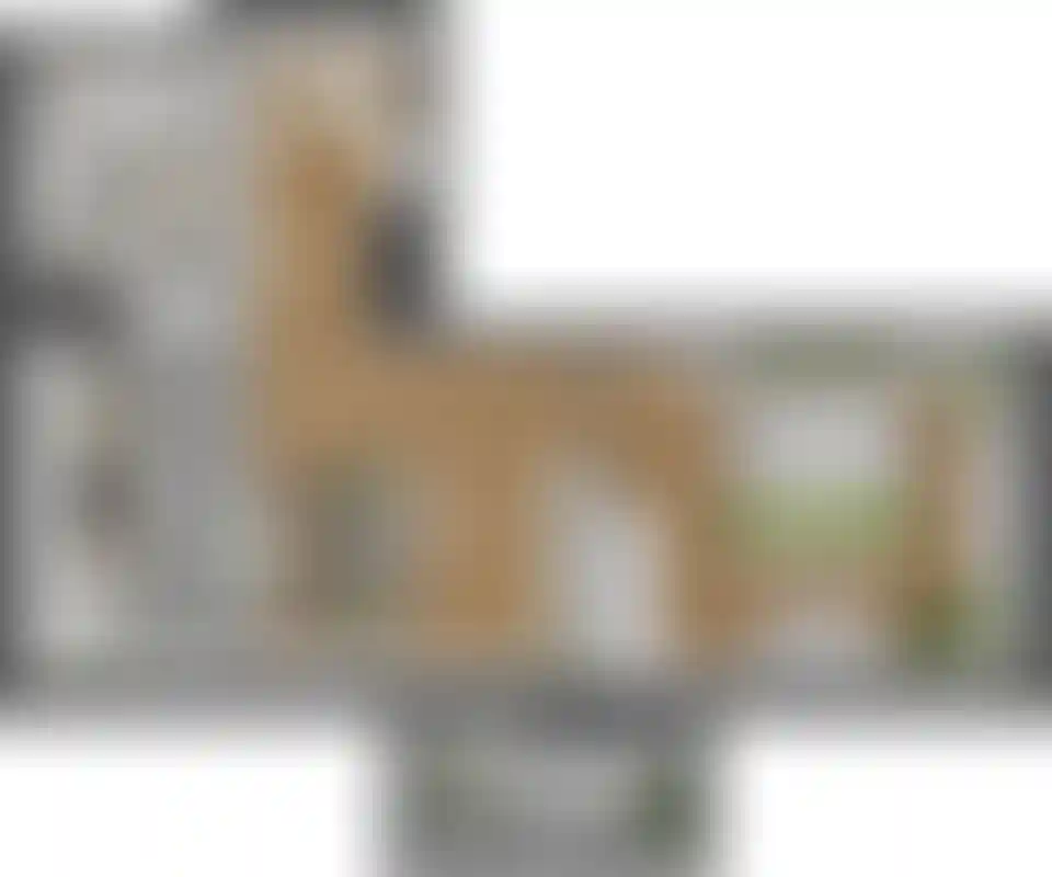 Изображение карточки лота