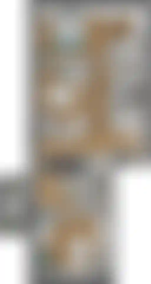 Изображение карточки лота