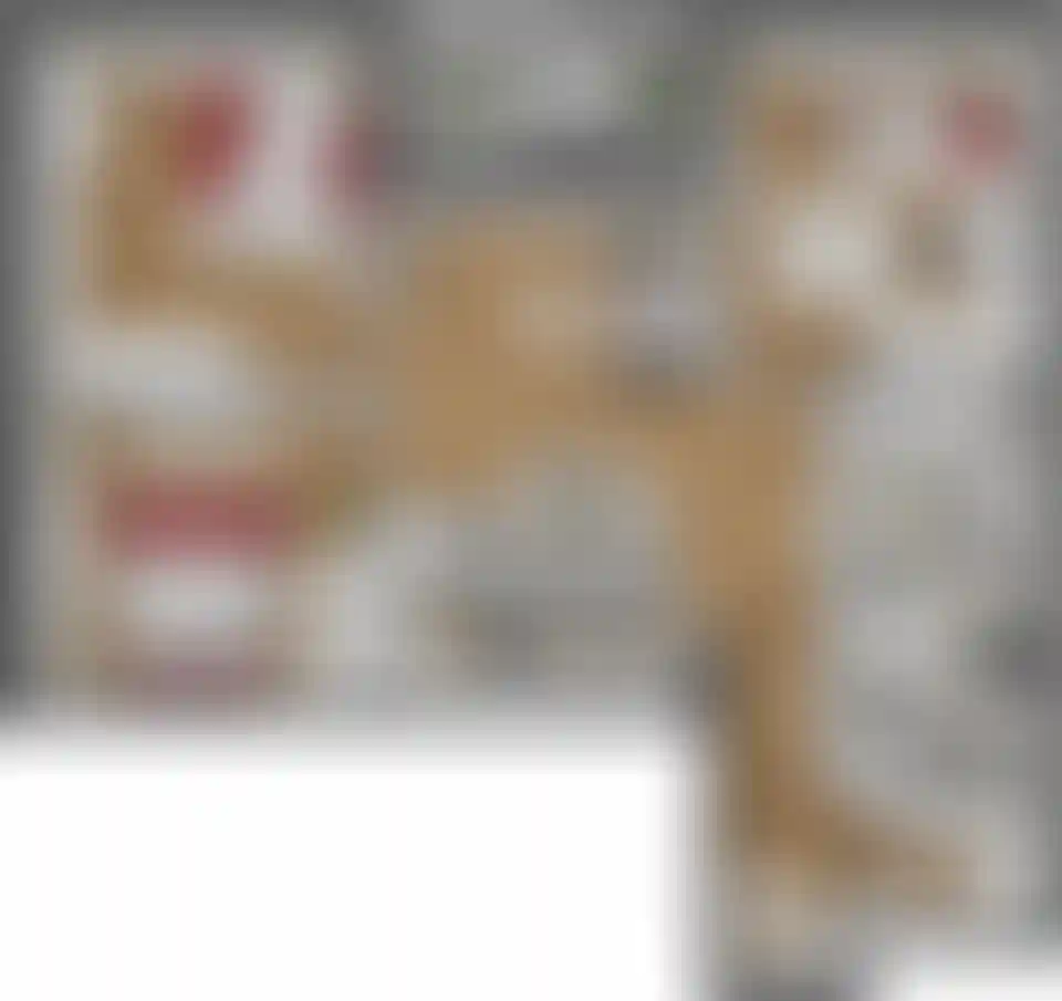 Изображение карточки лота