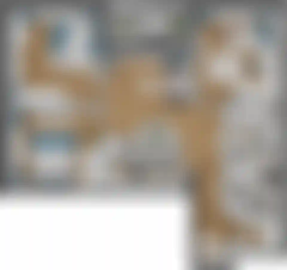 Изображение карточки лота