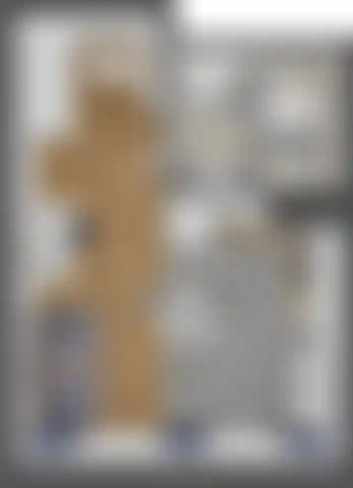 Изображение карточки лота