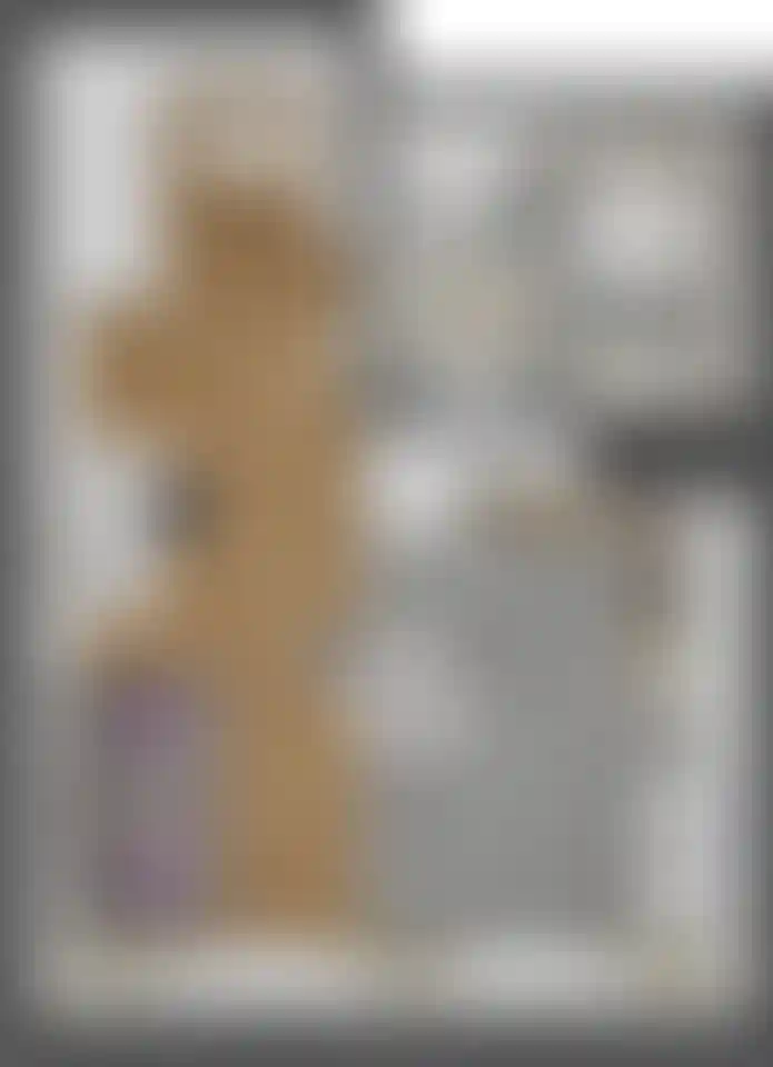 Изображение карточки лота