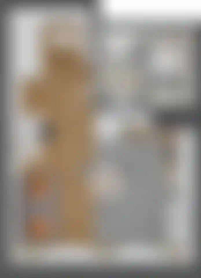 Изображение карточки лота