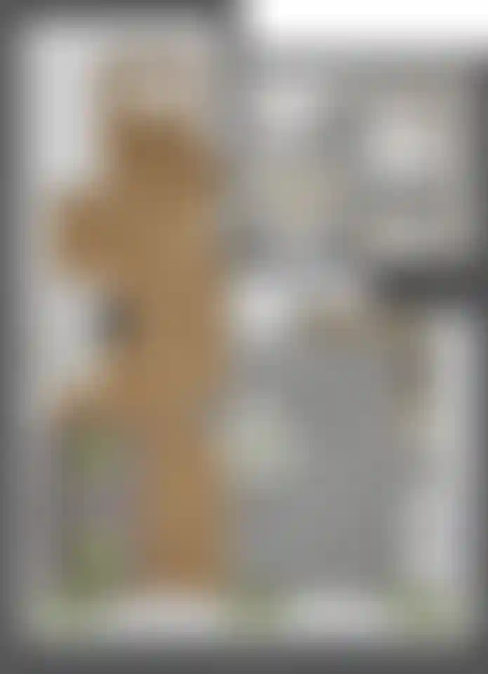 Изображение карточки лота