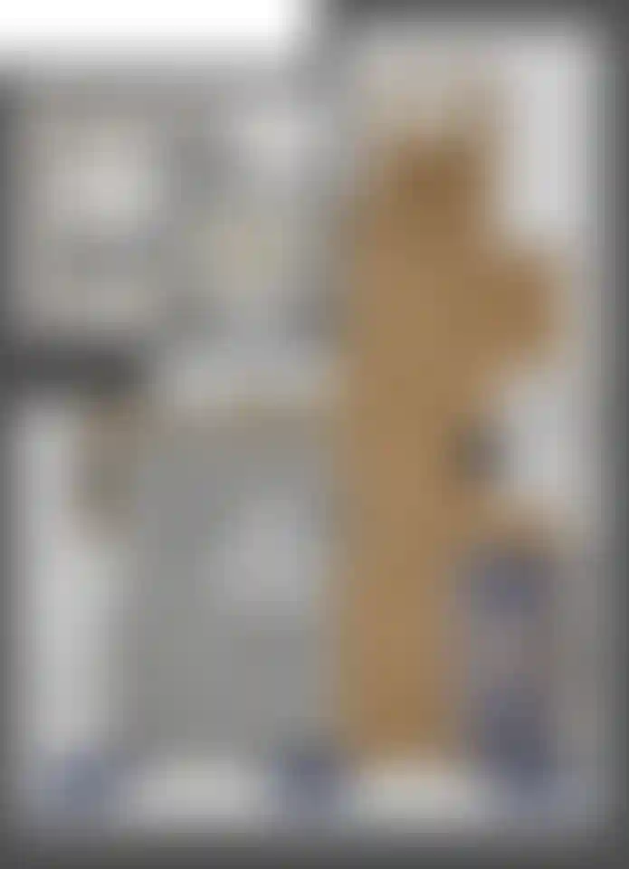 Изображение карточки лота