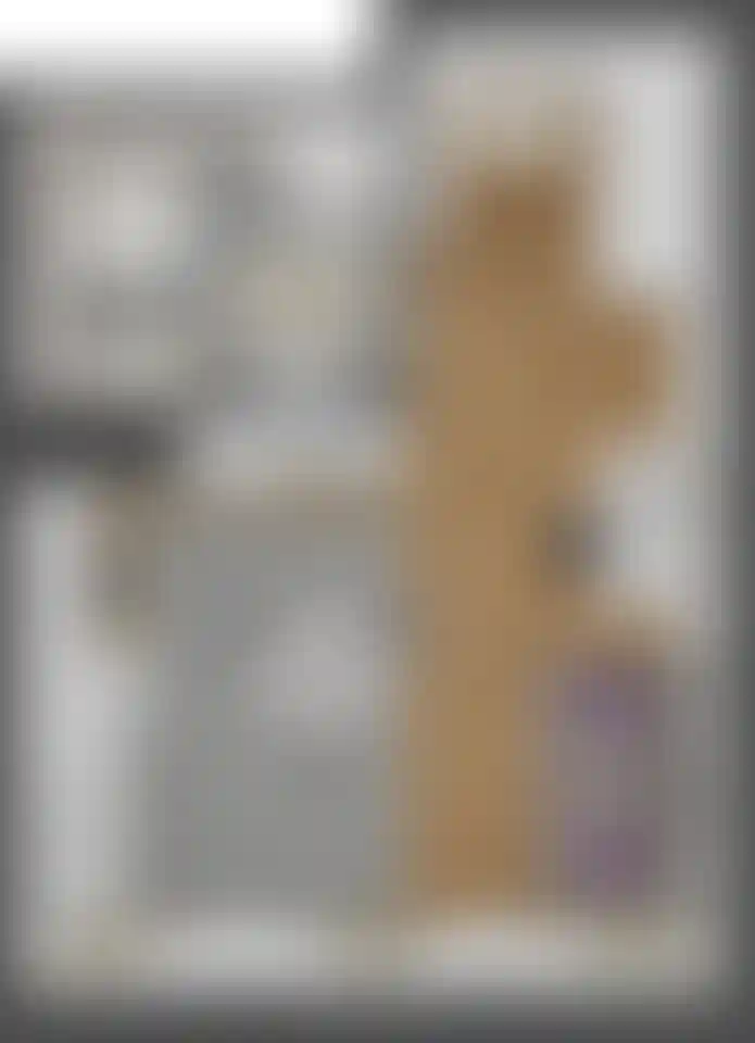 Изображение карточки лота