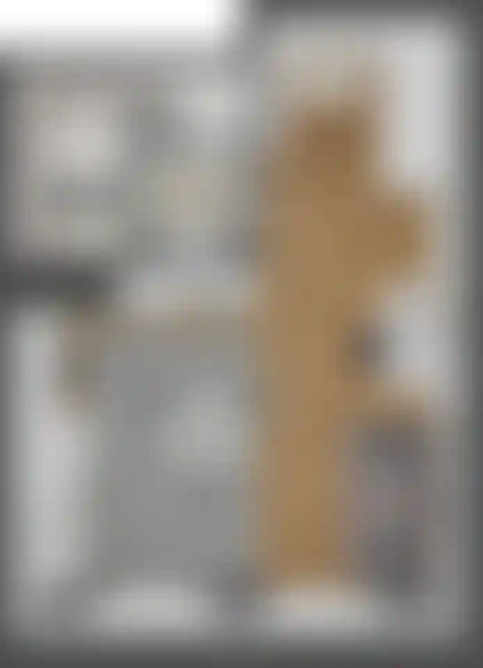 Изображение карточки лота