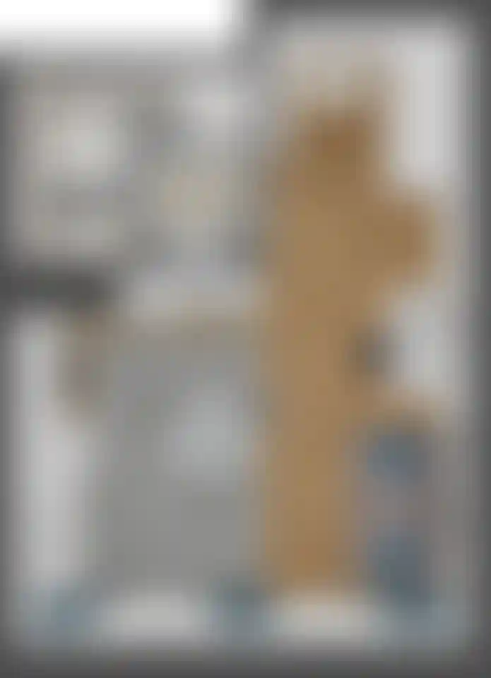 Изображение карточки лота