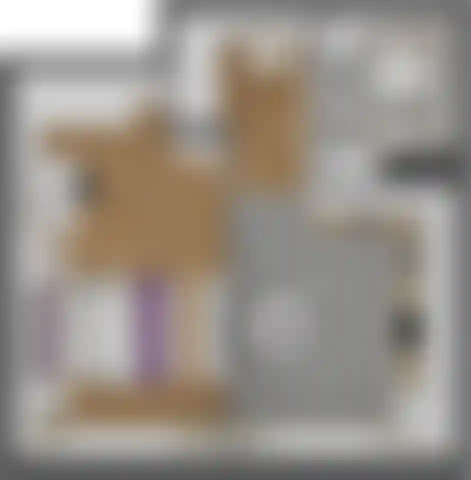 Изображение карточки лота