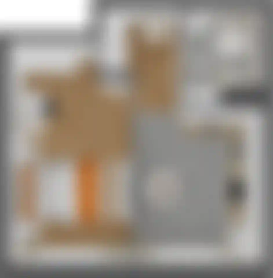 Изображение карточки лота