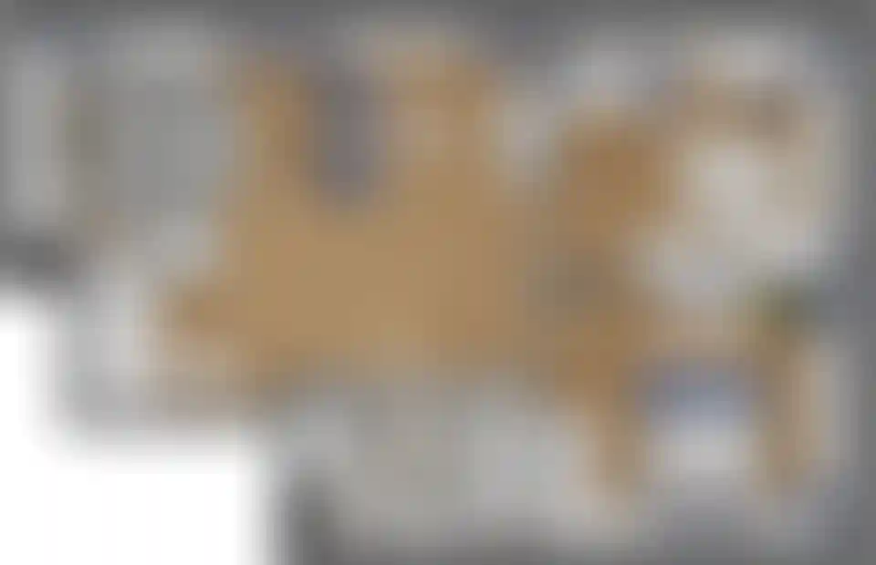 Изображение карточки лота