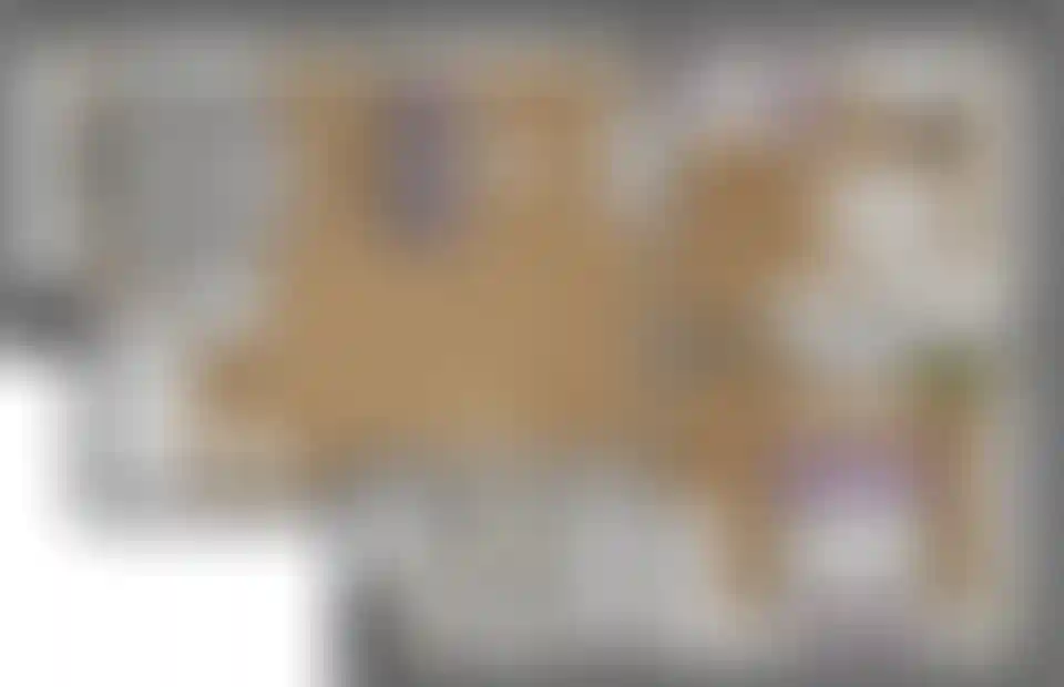 Изображение карточки лота