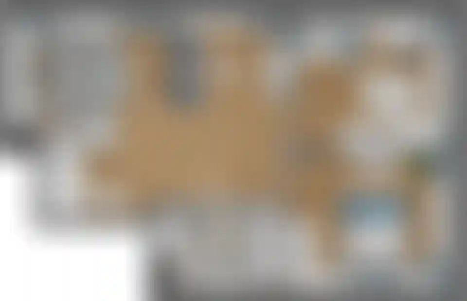 Изображение карточки лота