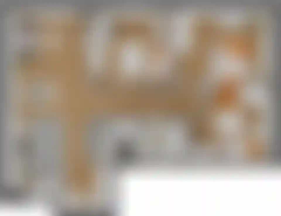 Изображение карточки лота