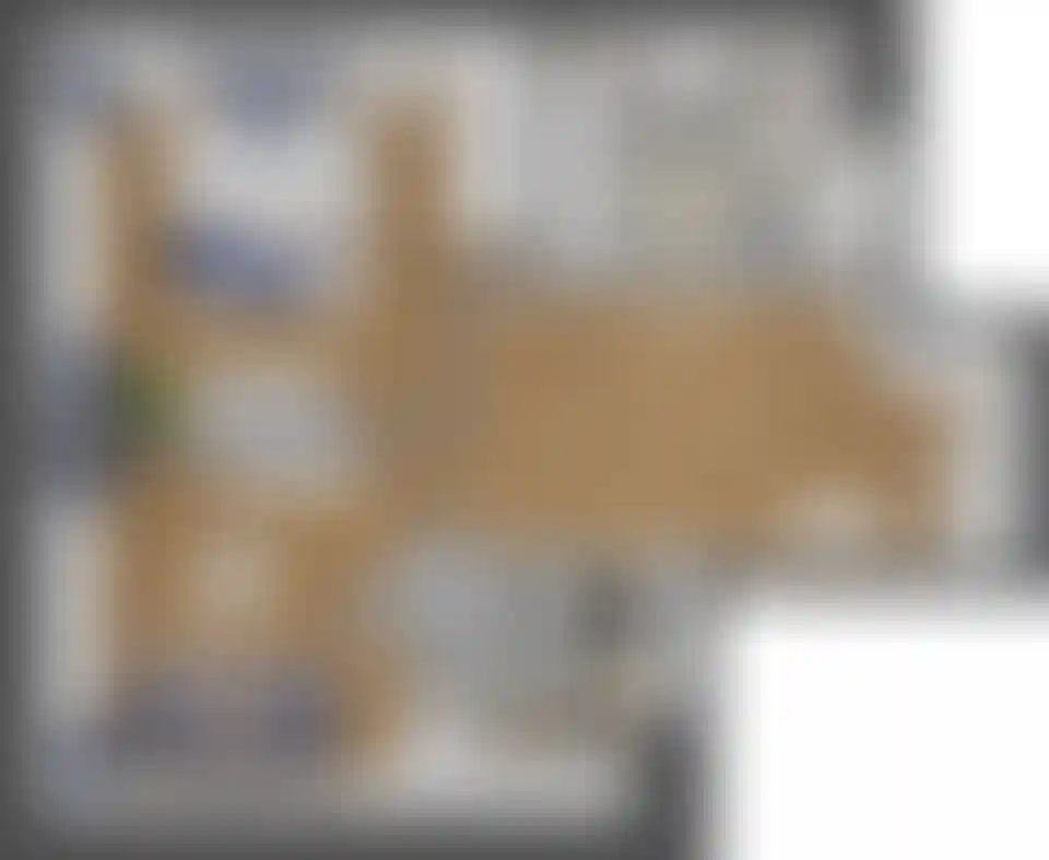 Изображение карточки лота