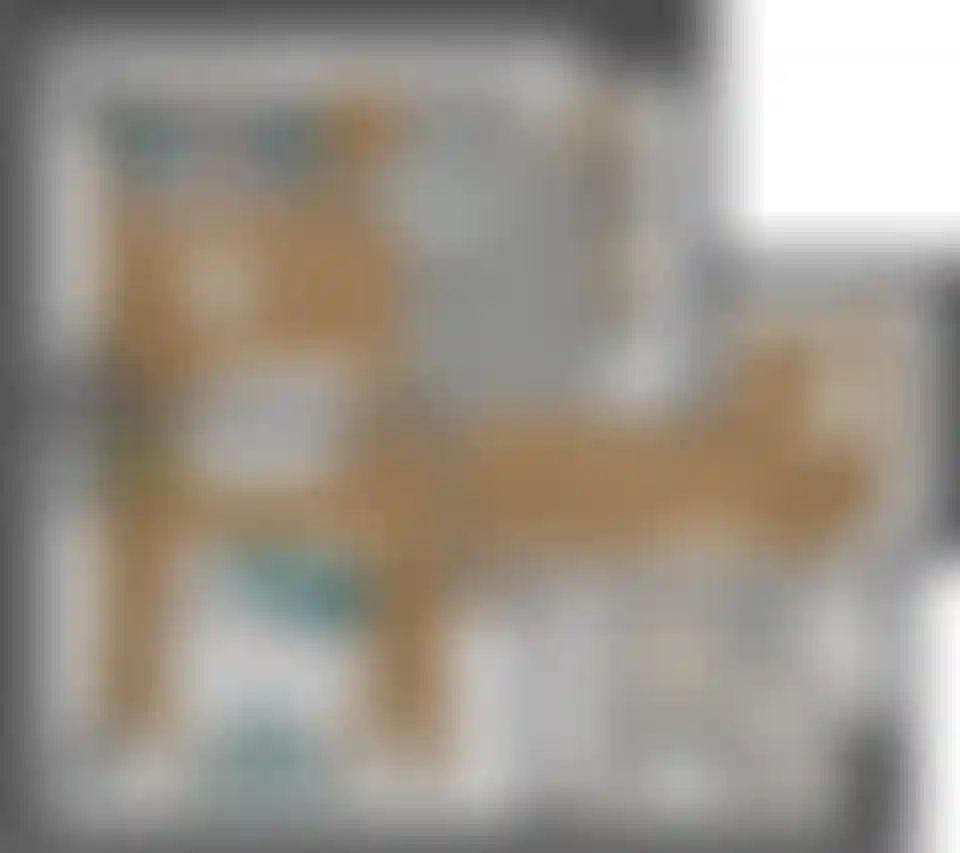 Изображение карточки лота