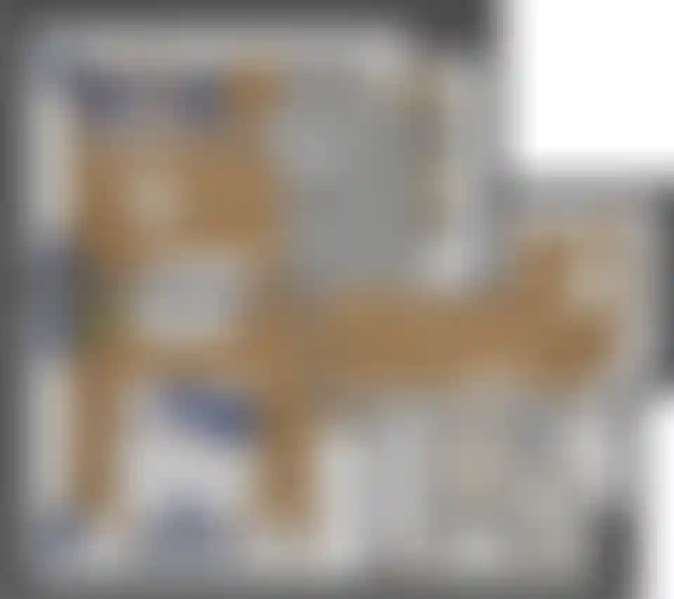 Изображение карточки лота