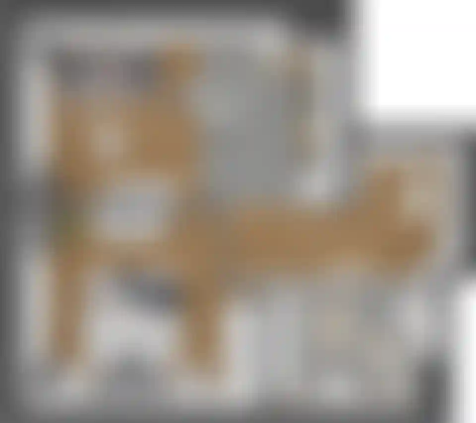 Изображение карточки лота