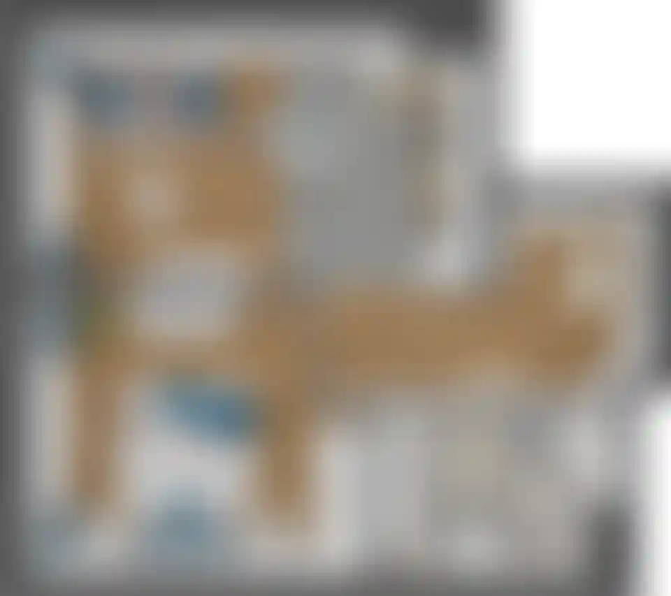 Изображение карточки лота