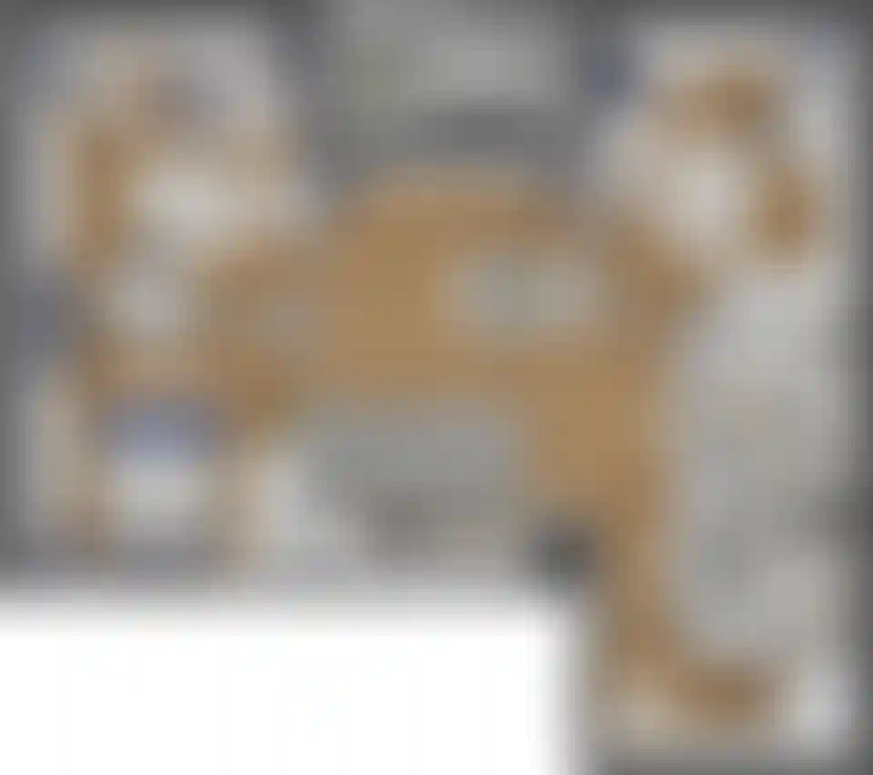 Изображение карточки лота