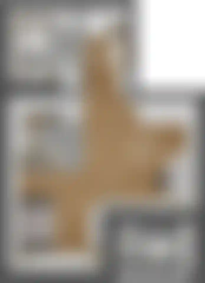 Изображение карточки лота