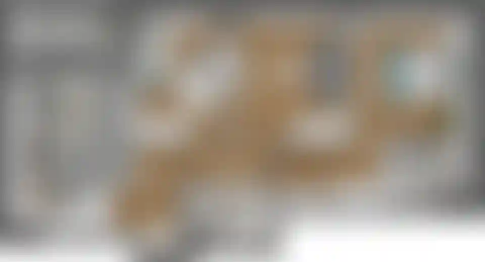 Изображение карточки лота