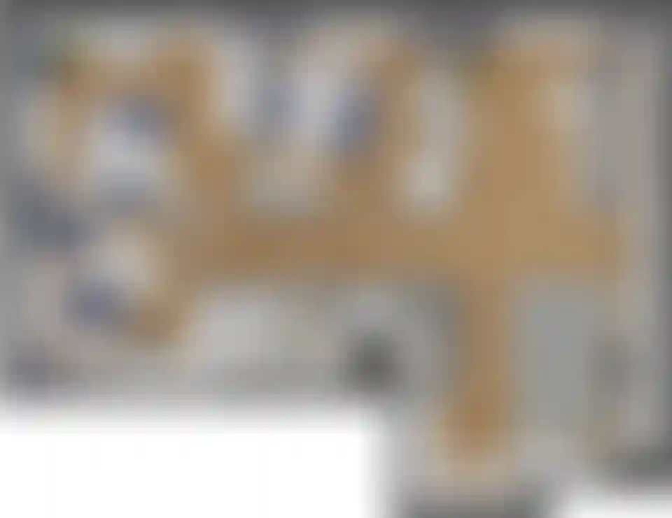 Изображение карточки лота