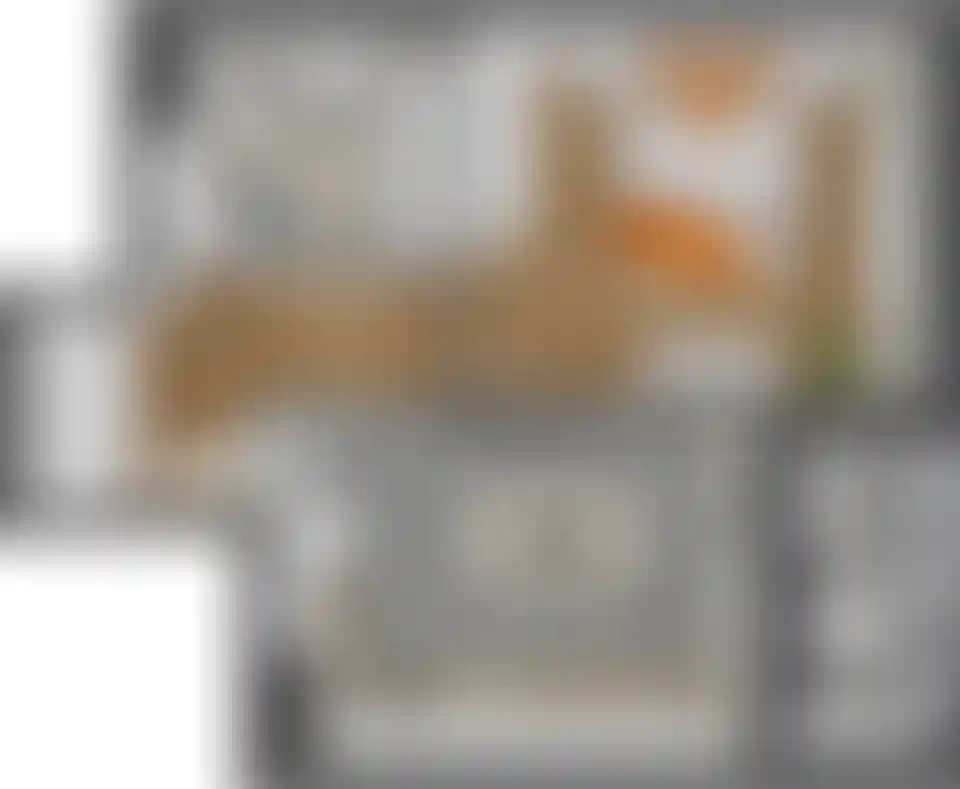 Изображение карточки лота