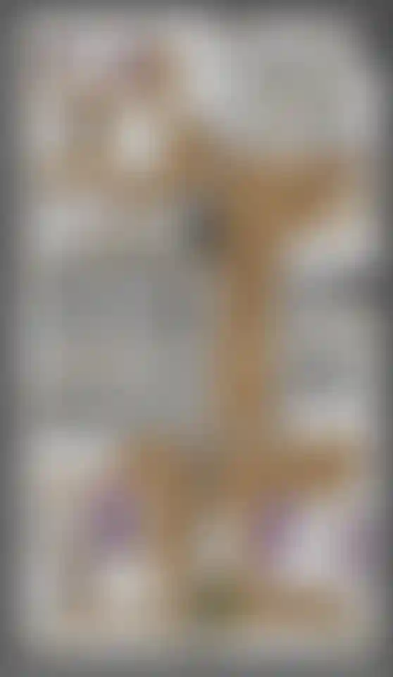 Изображение карточки лота