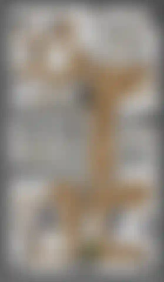 Изображение карточки лота