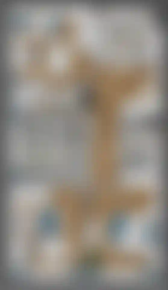 Изображение карточки лота