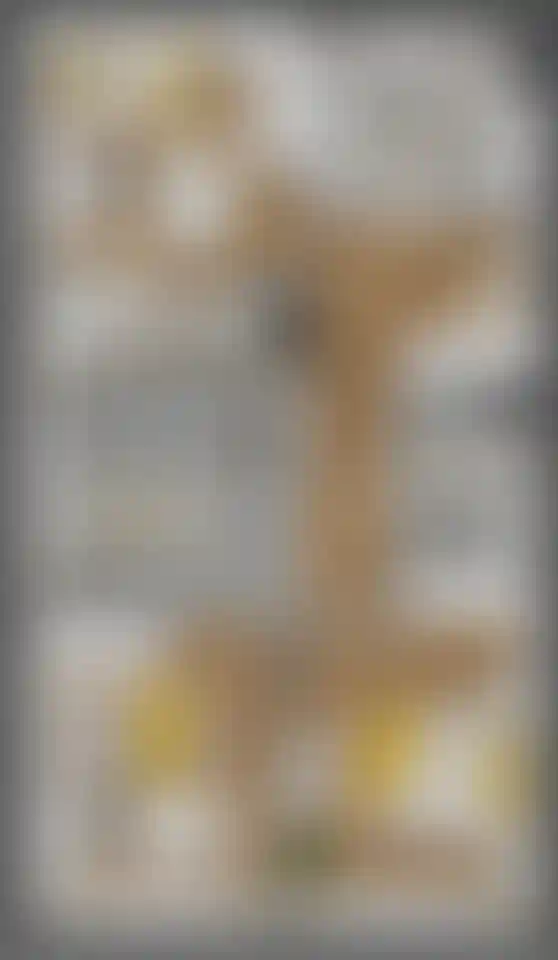 Изображение карточки лота