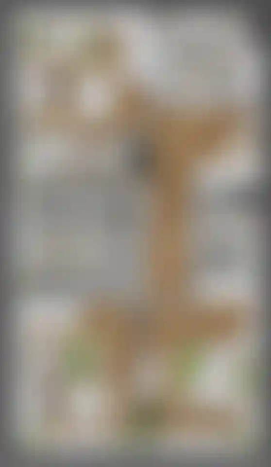 Изображение карточки лота