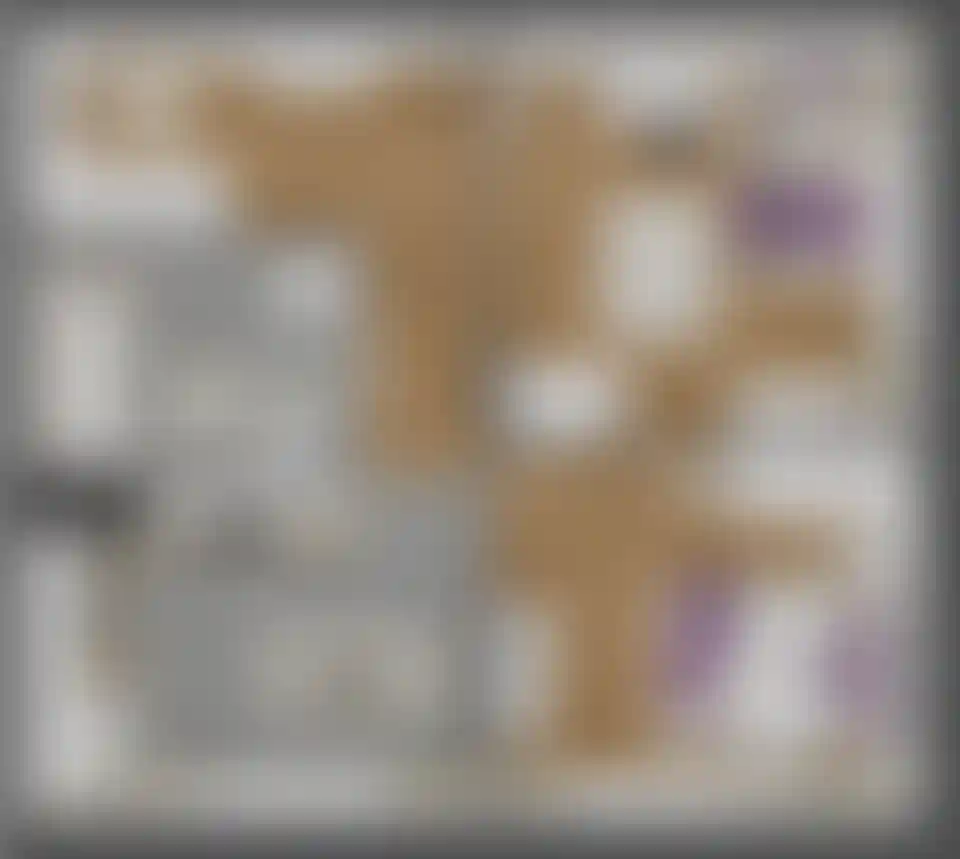 Изображение карточки лота