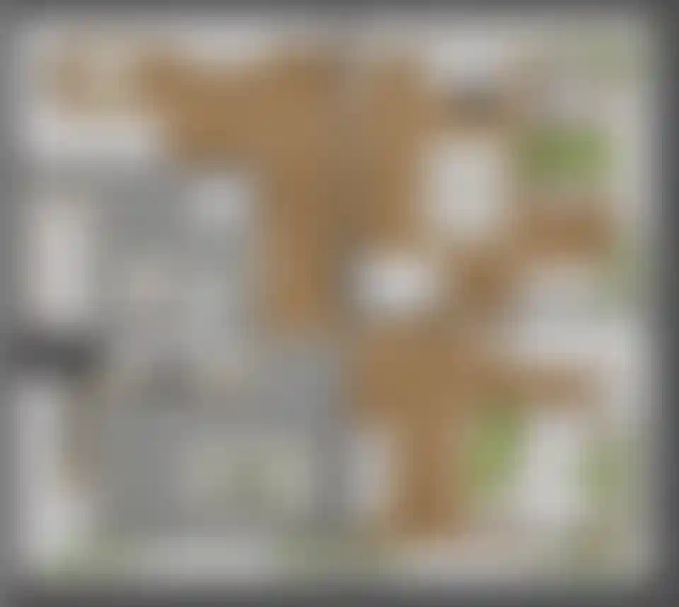 Изображение карточки лота