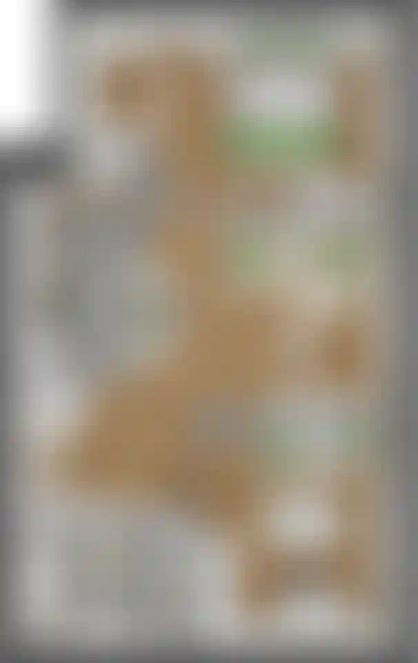 Изображение карточки лота