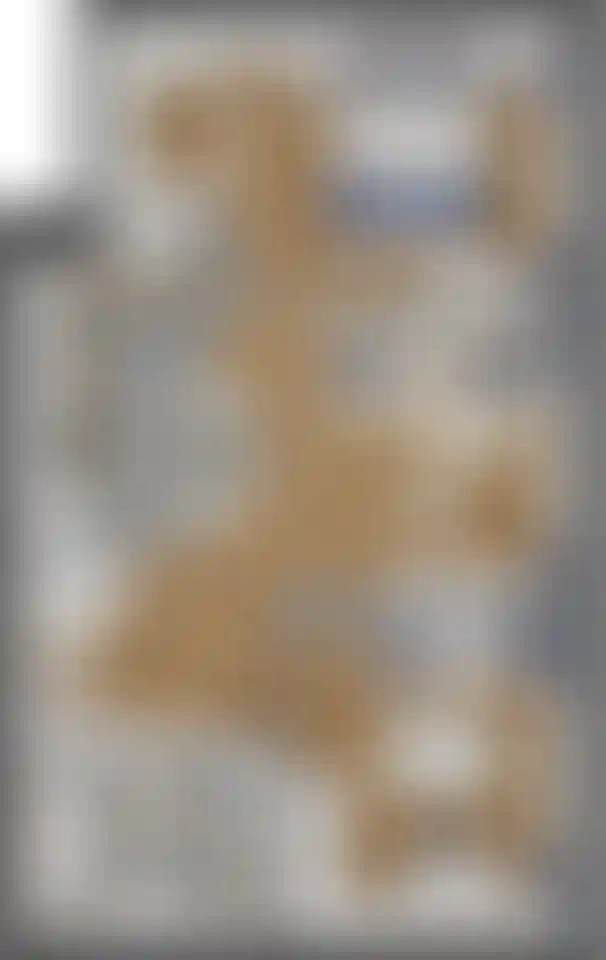 Изображение карточки лота