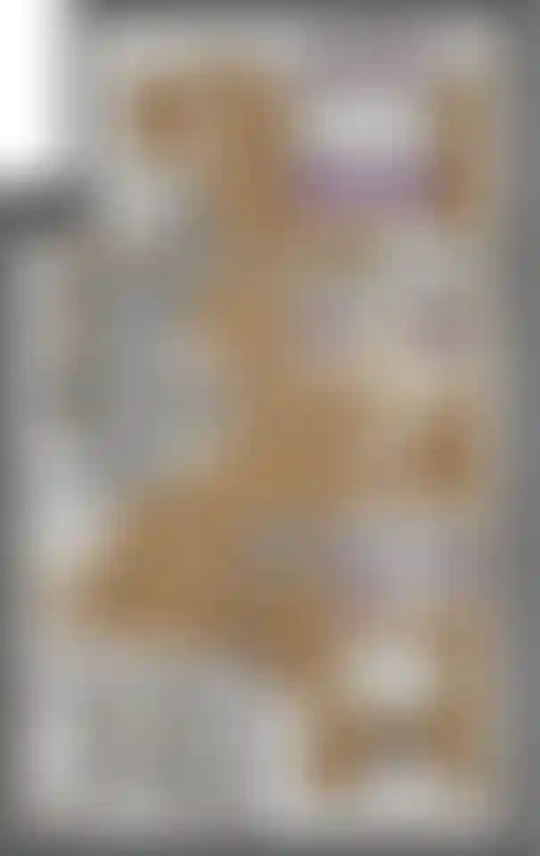 Изображение карточки лота