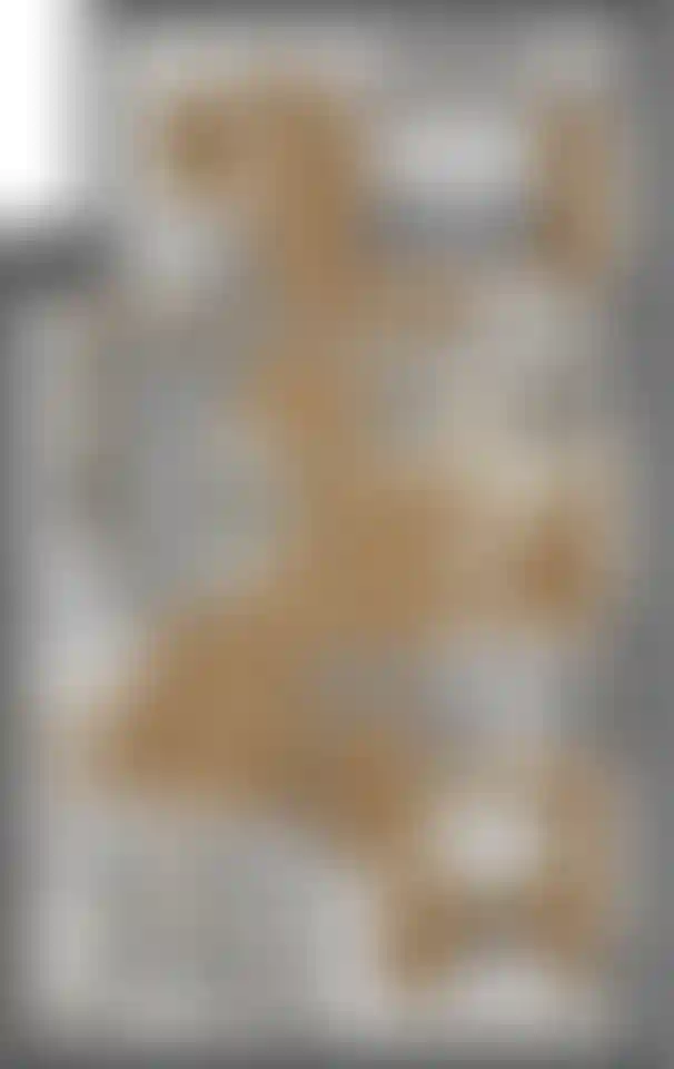 Изображение карточки лота